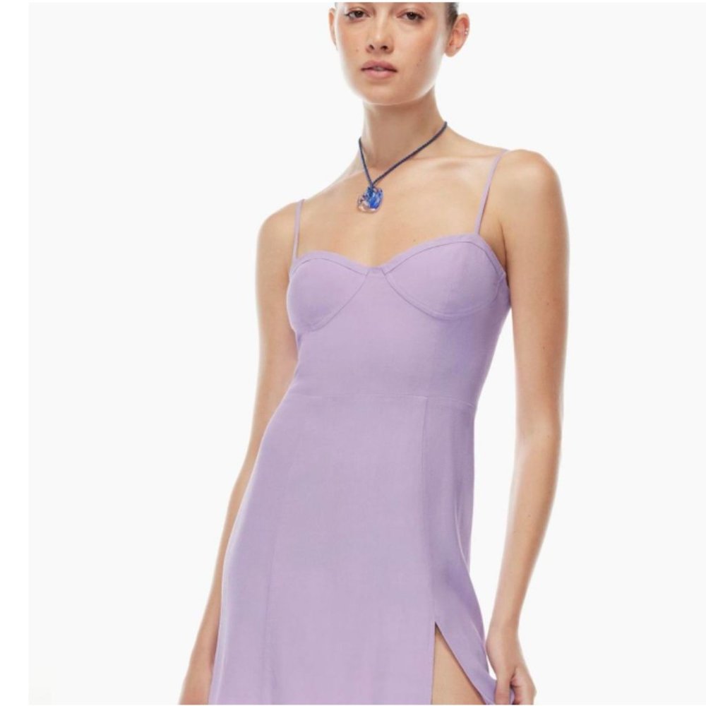 Aritizia Sunday Best Viola Mini Dress